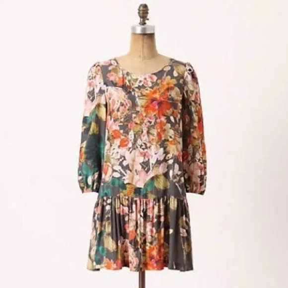 Anthropologie Meadow Rue Minutiae Floral Dress Sz 4 Drop Waist 3/4 Sleeves