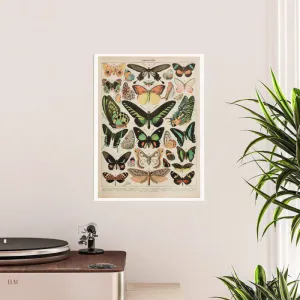 BUTTERFLY GIFT WRAP