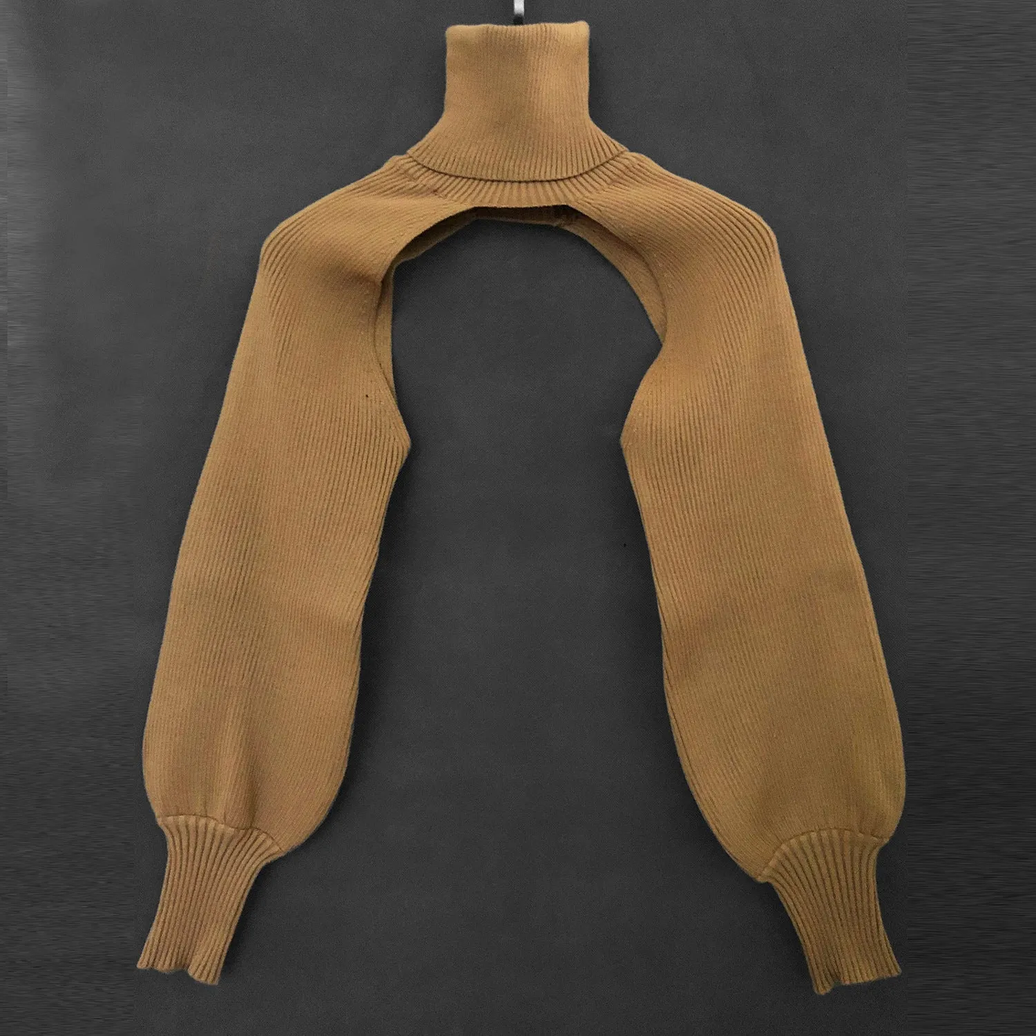 Casual Turtleneck Lantern Sleeve Cutout Cropped Knit Sweater