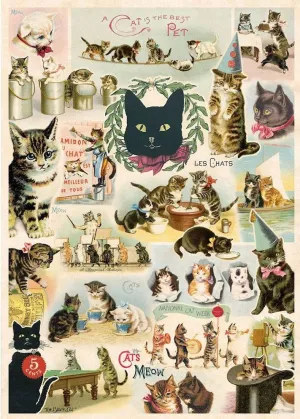 CAT COLLAGE GIFT WRAP