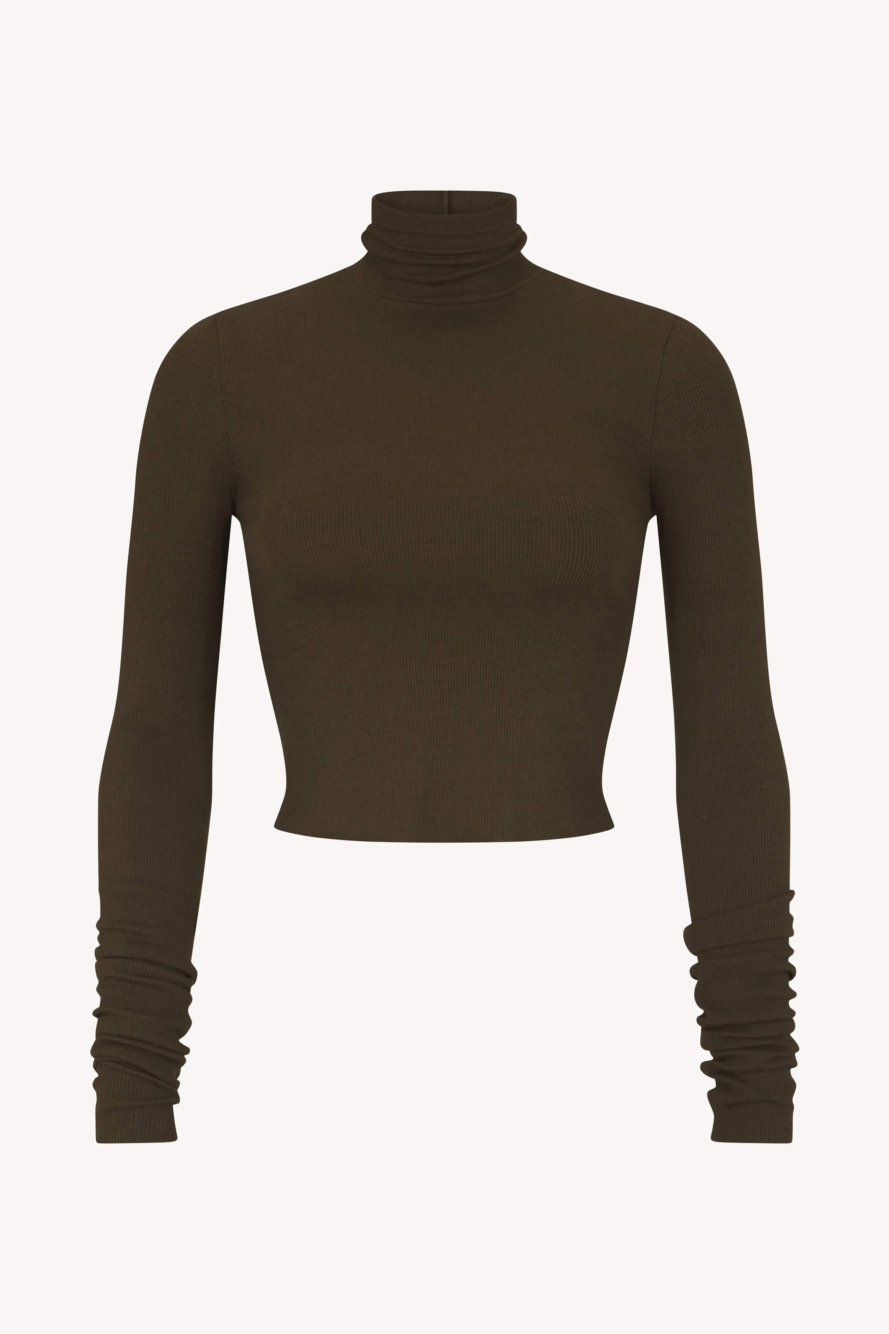 Cropped Fitted Turtleneck Top