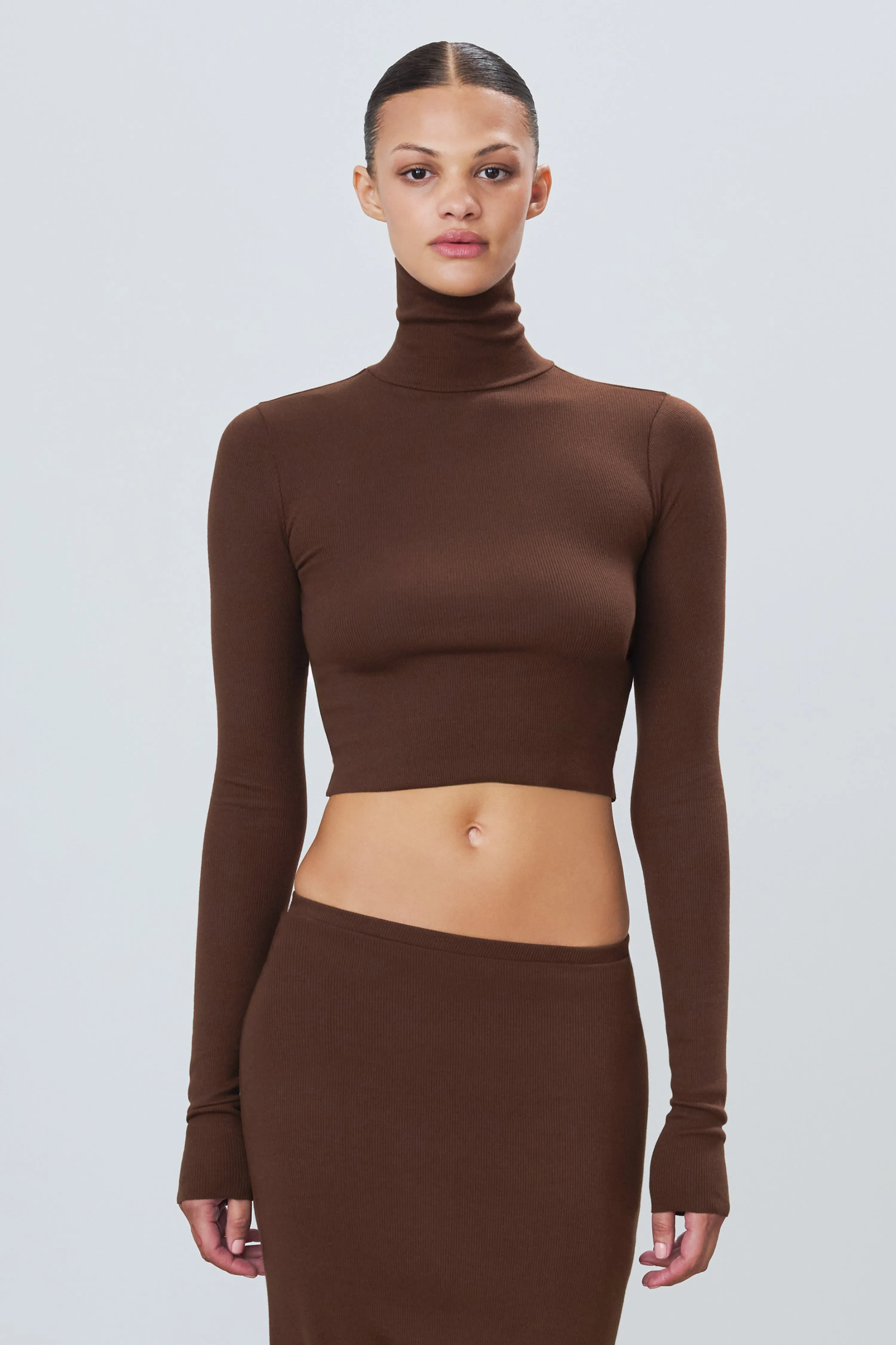 Cropped Fitted Turtleneck  Top