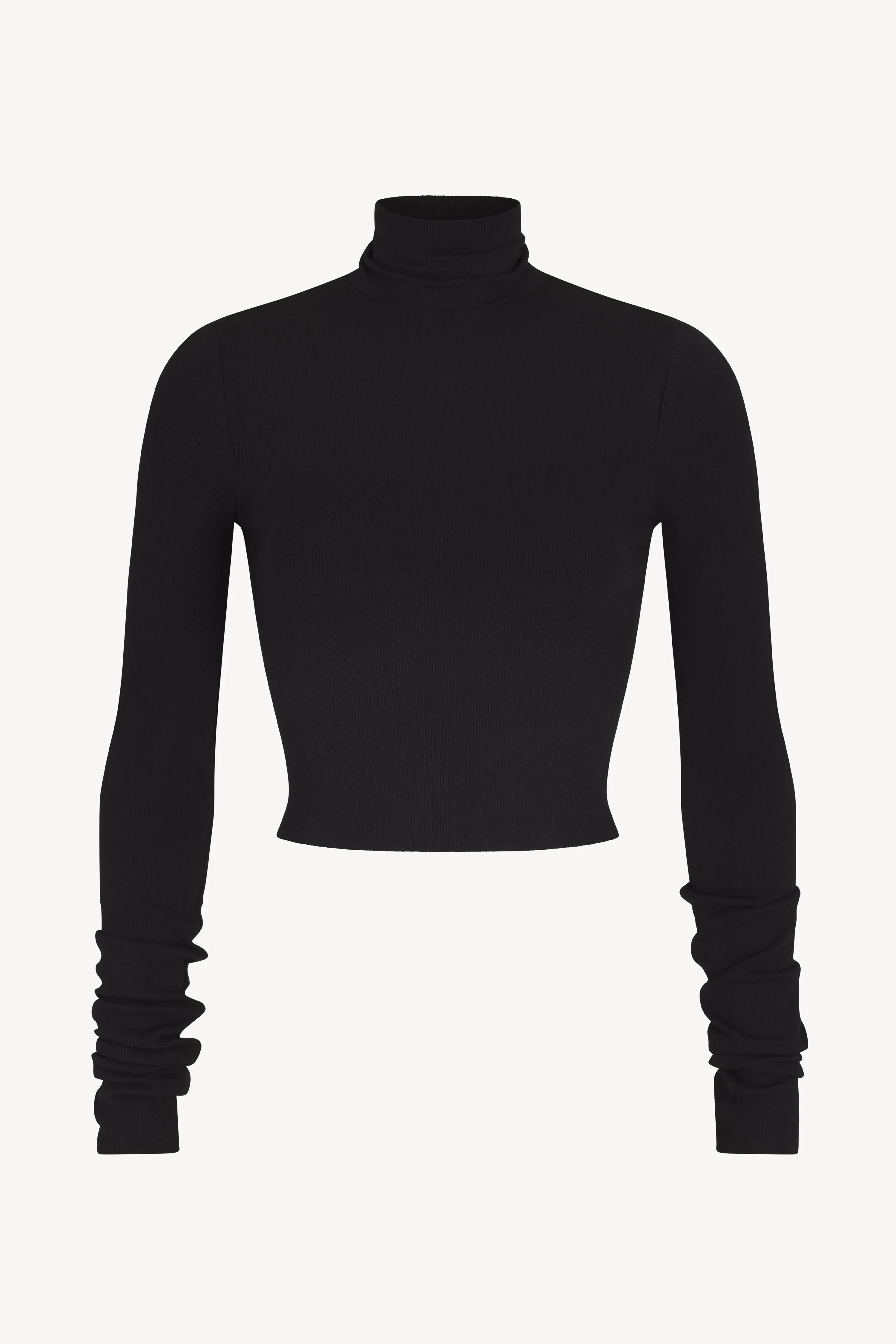 Cropped Fitted Turtleneck Top