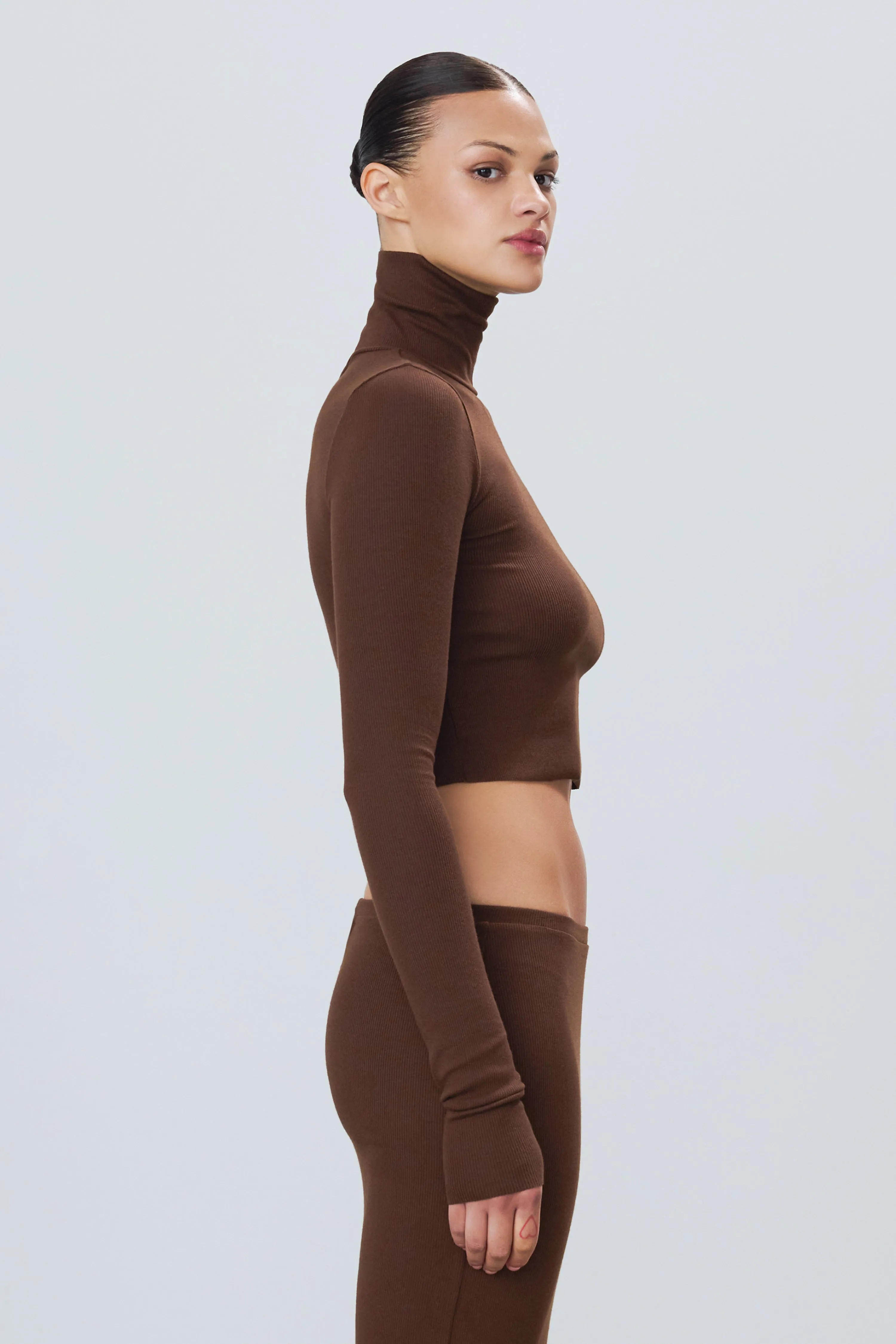 Cropped Fitted Turtleneck  Top
