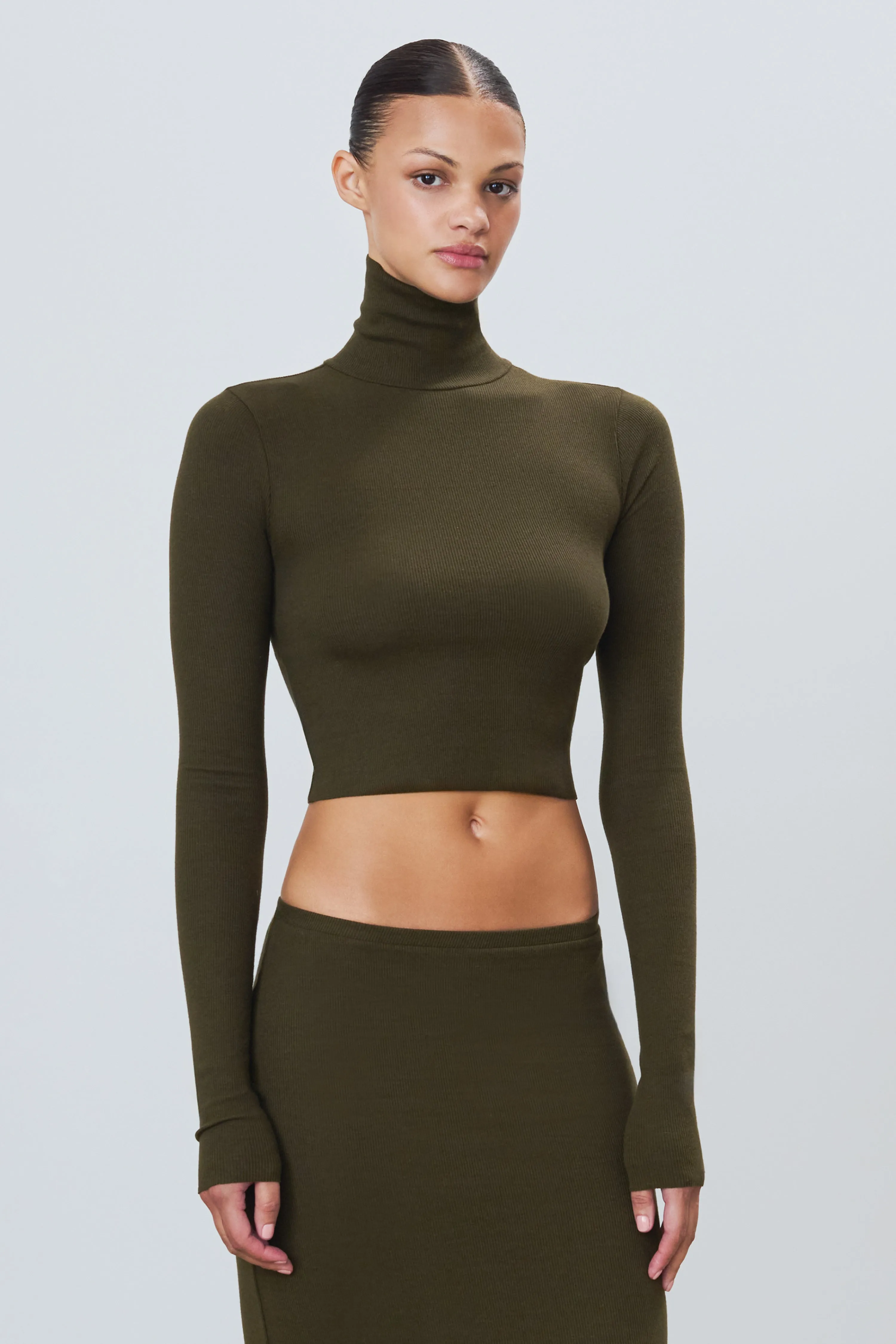 Cropped Fitted Turtleneck Top