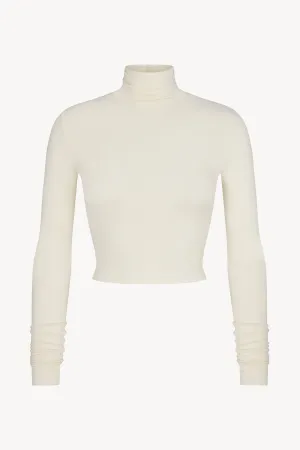 Cropped Fitted Turtleneck Top