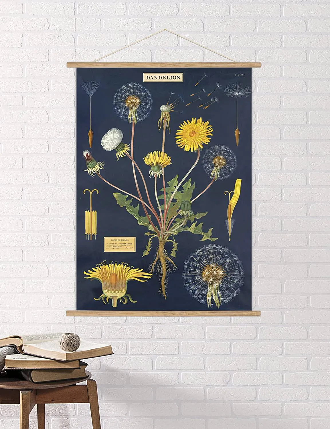 DANDELION GIFT WRAP