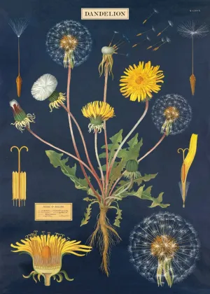 DANDELION GIFT WRAP