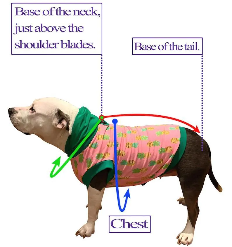 Furri Vuitton Multicolor - PAWjama with Black Neck & Trim/Sleeves