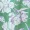 Green Printed Wrap Front Frill Sleeve Belted Jumpsuit