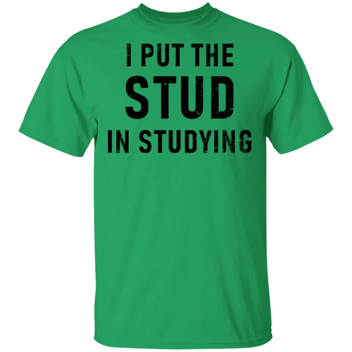 I Put The Stud In Studying T-Shirt