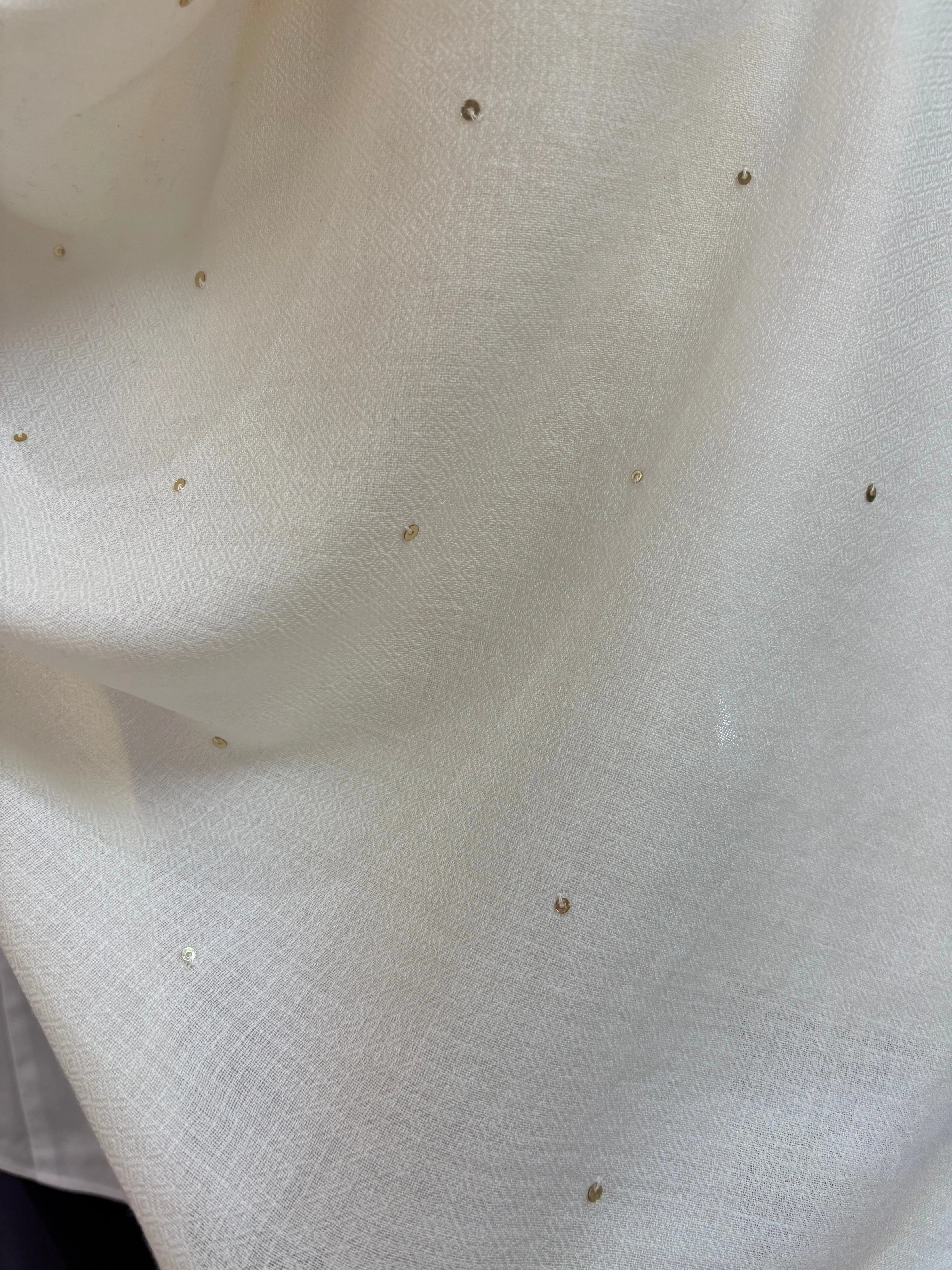 Janavi Ivory Seabed Splendor Shawl