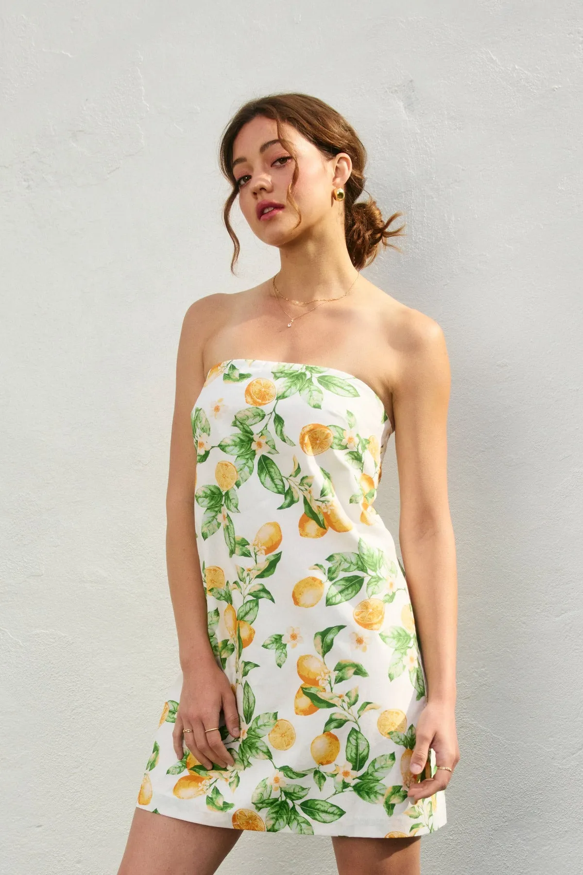 Lola Strapless Tie Back Mini Dress