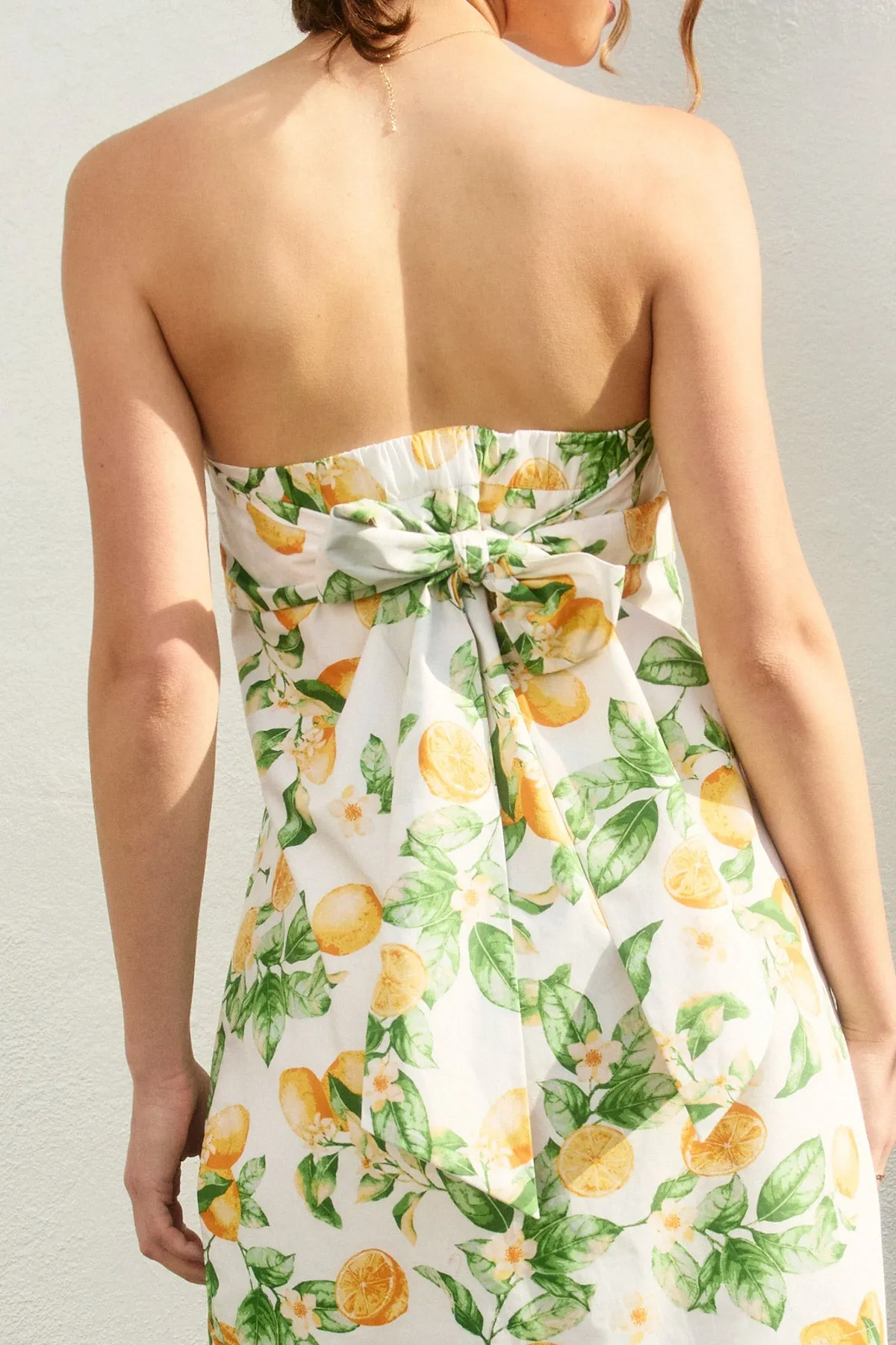 Lola Strapless Tie Back Mini Dress