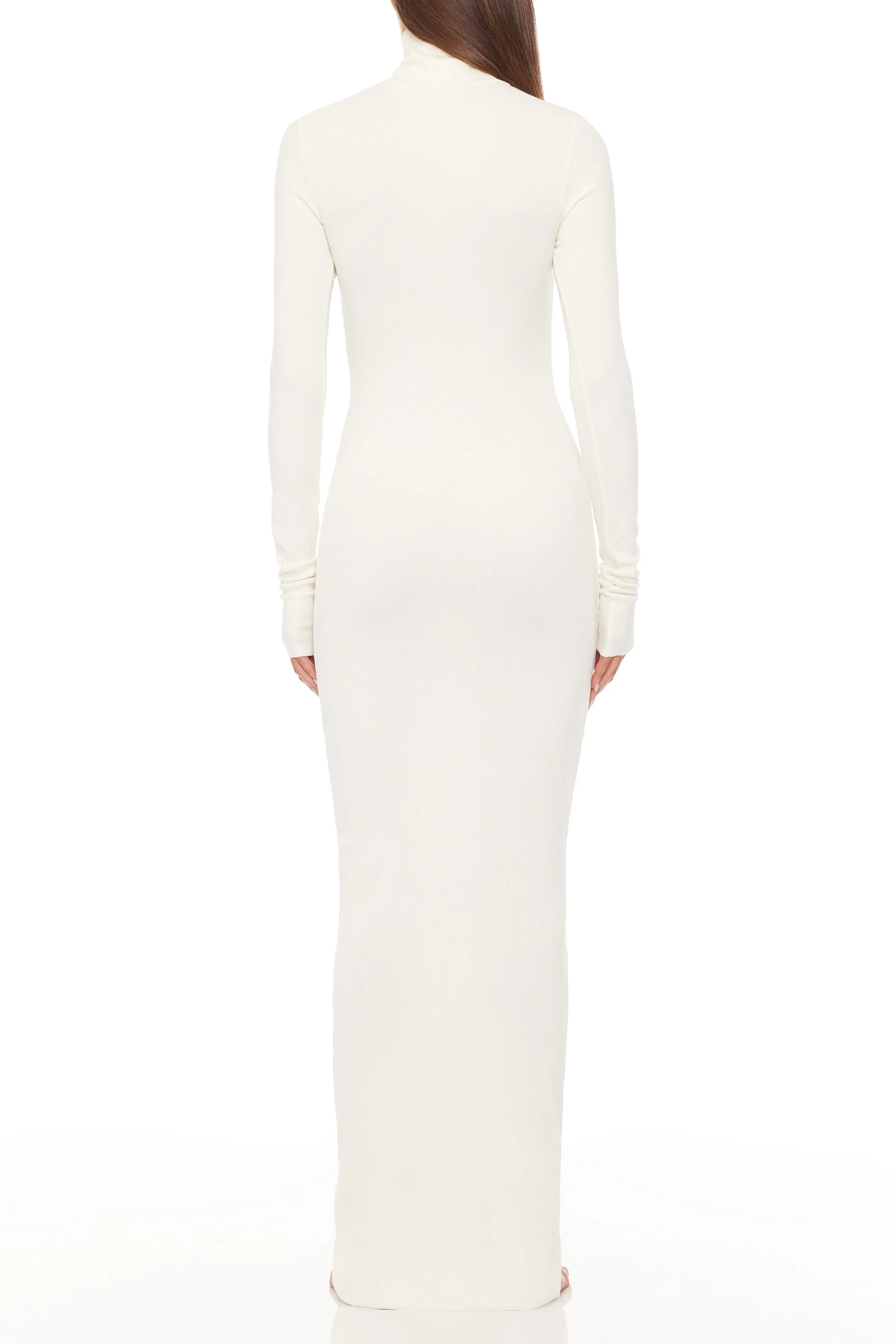 Long Sleeve Turtleneck Maxi Dress