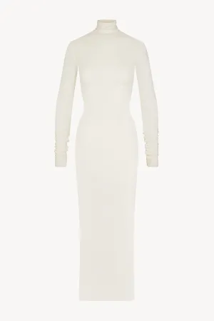 Long Sleeve Turtleneck Maxi Dress