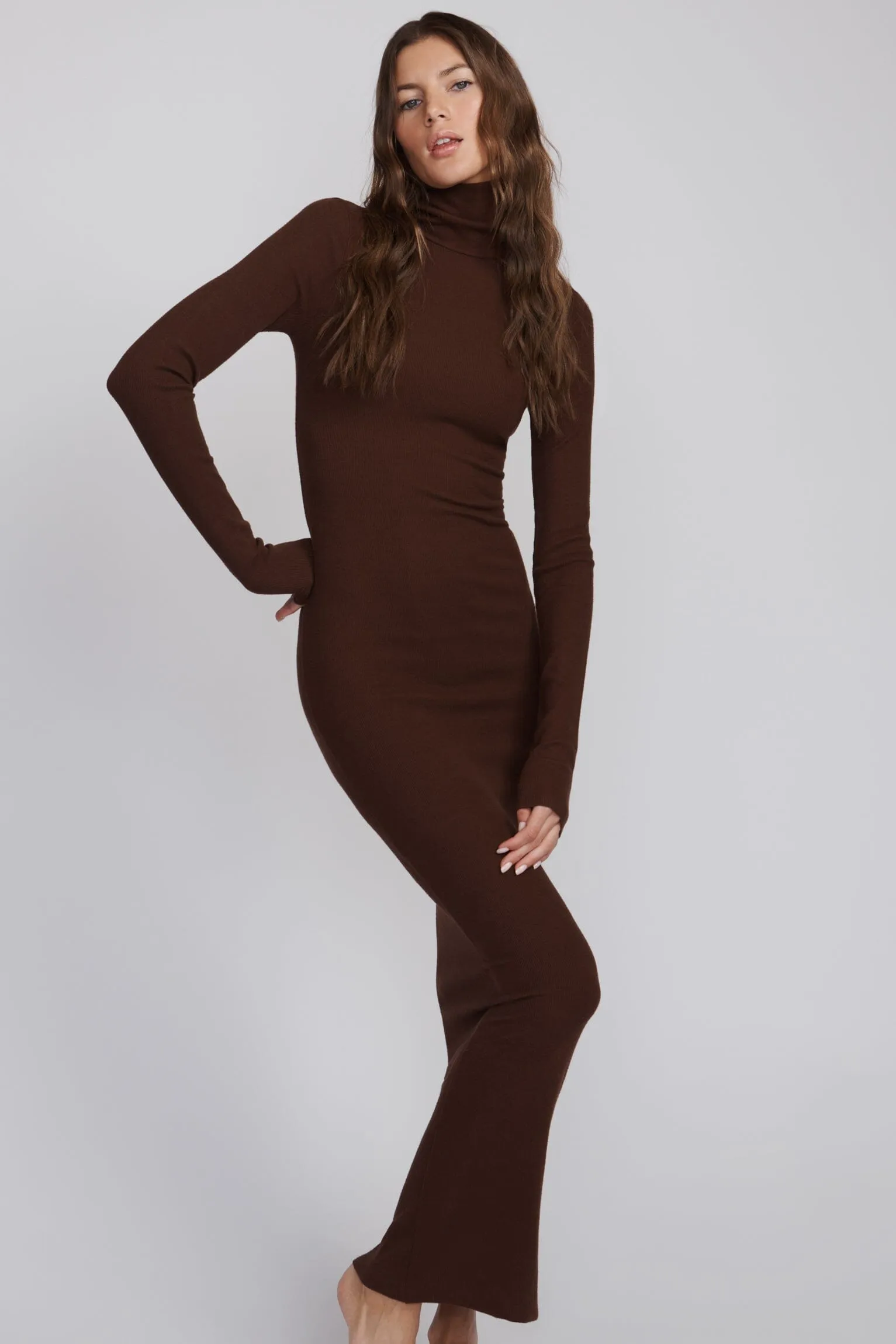 Long Sleeve Turtleneck Maxi Dress