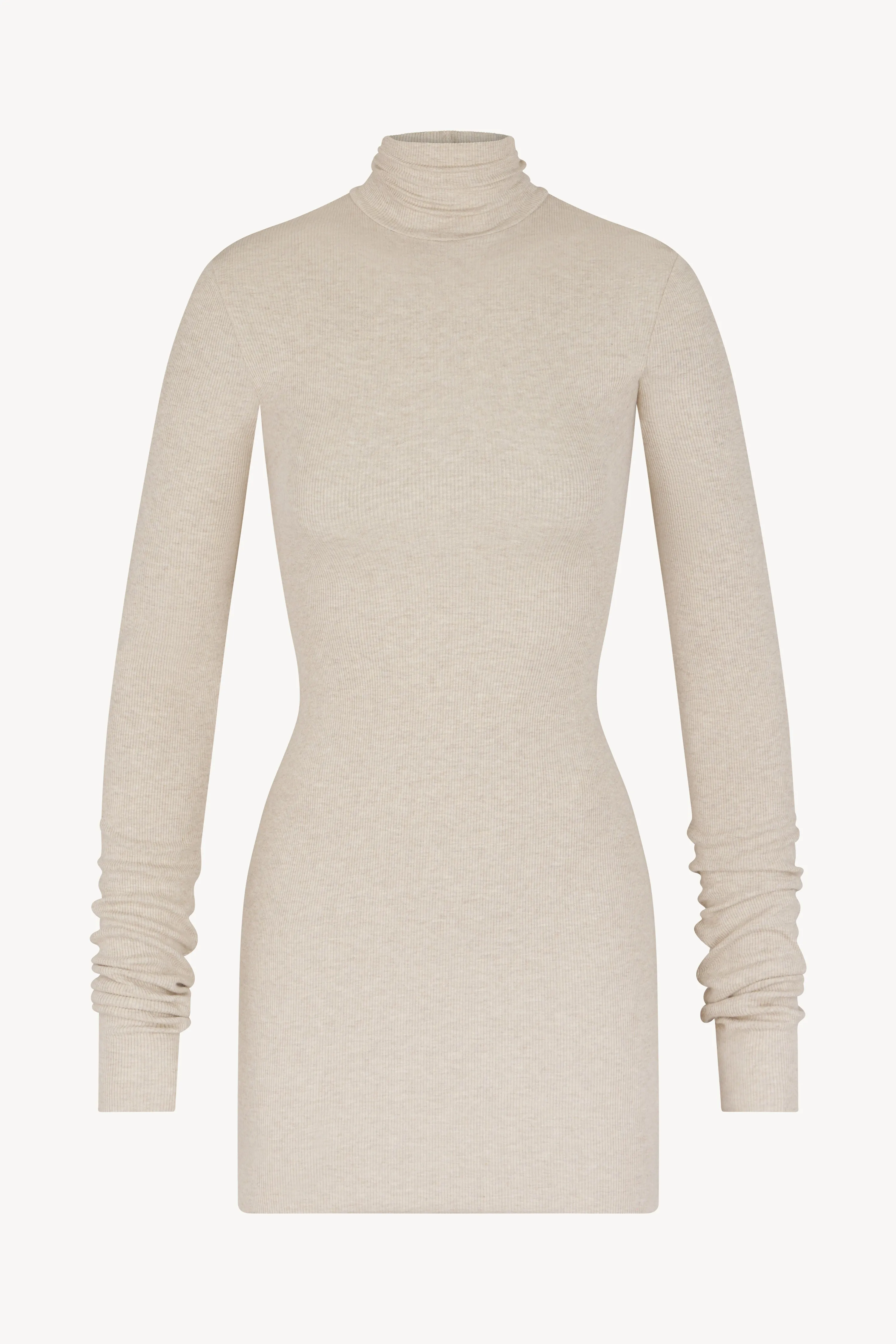 Long Sleeve Turtleneck Mini Dress