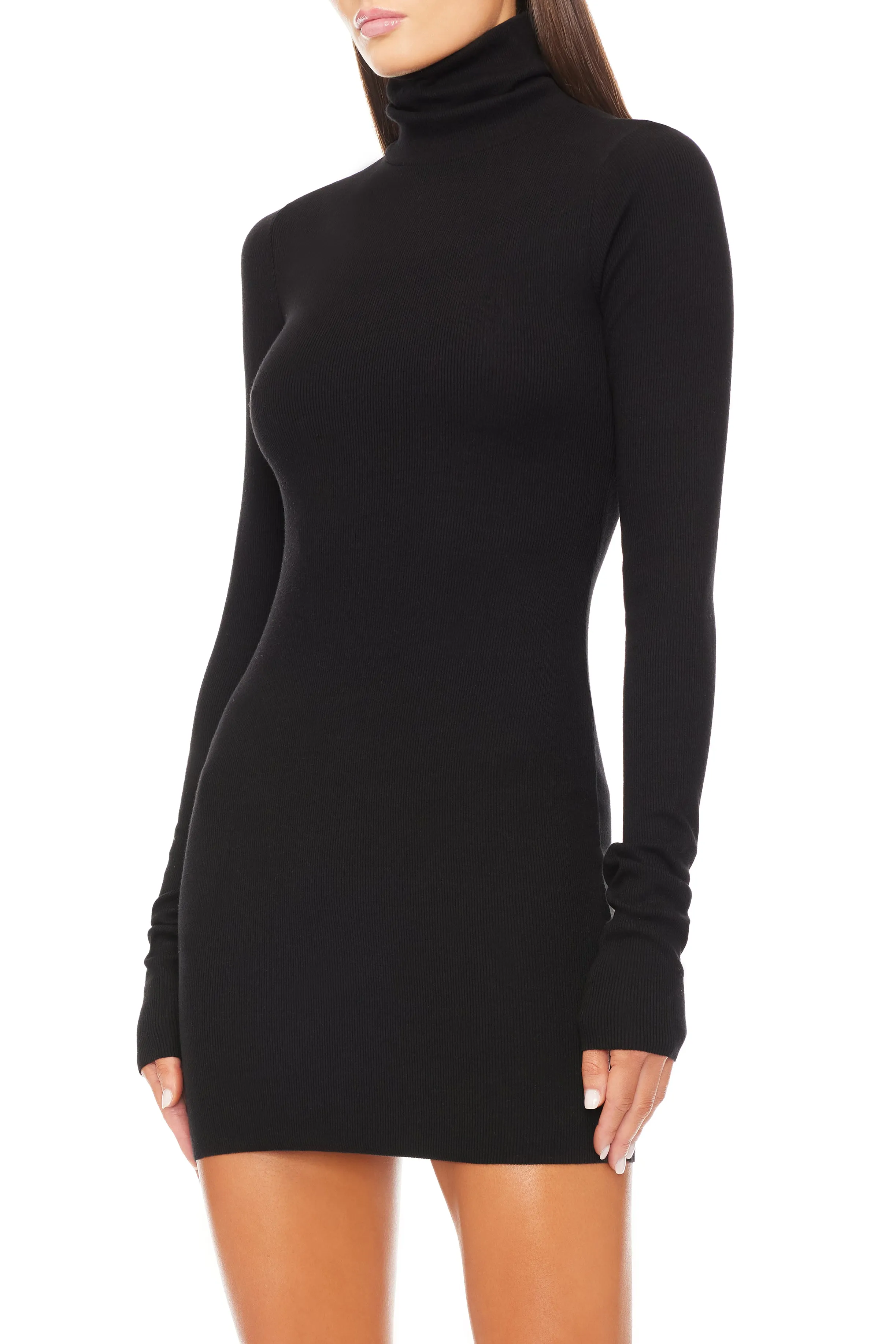 Long Sleeve Turtleneck Mini Dress