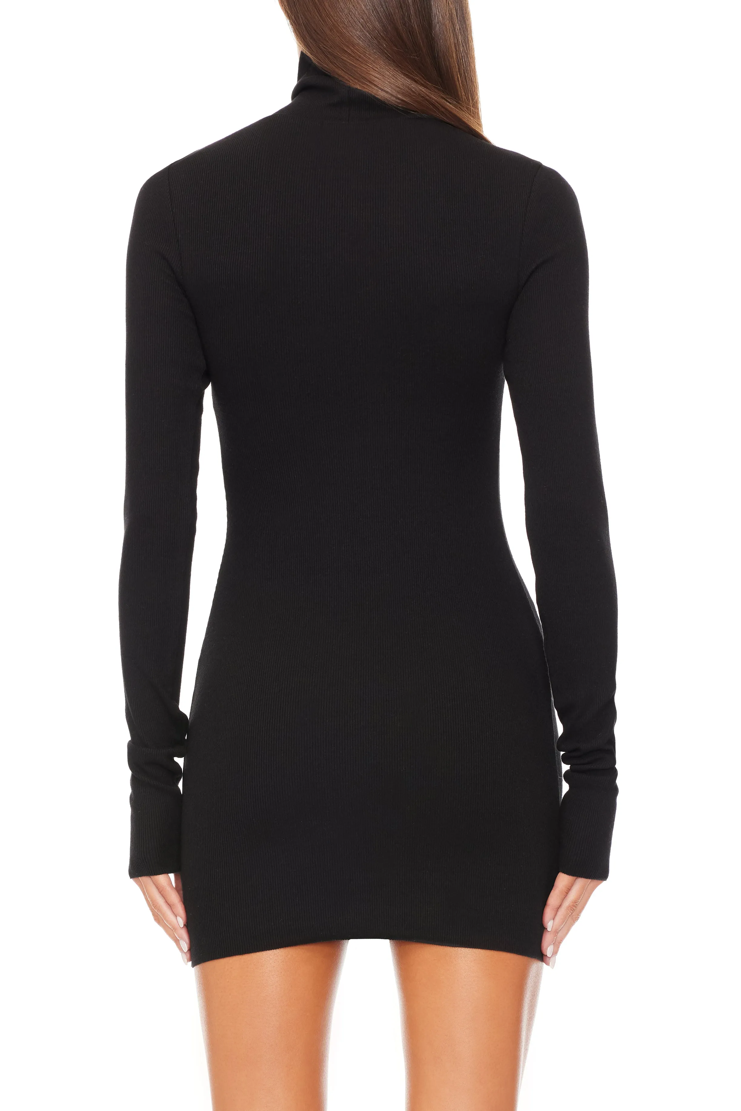 Long Sleeve Turtleneck Mini Dress