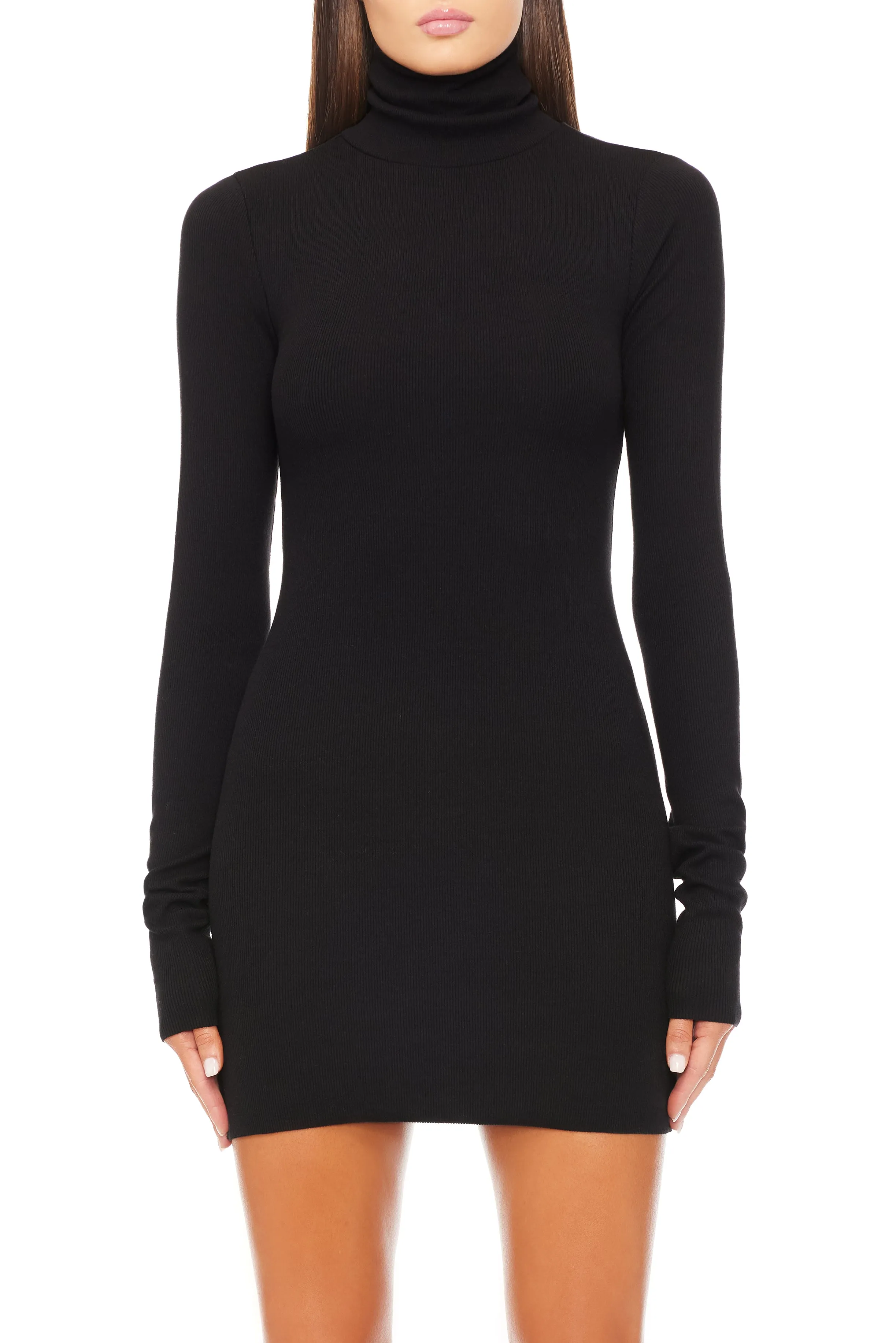 Long Sleeve Turtleneck Mini Dress