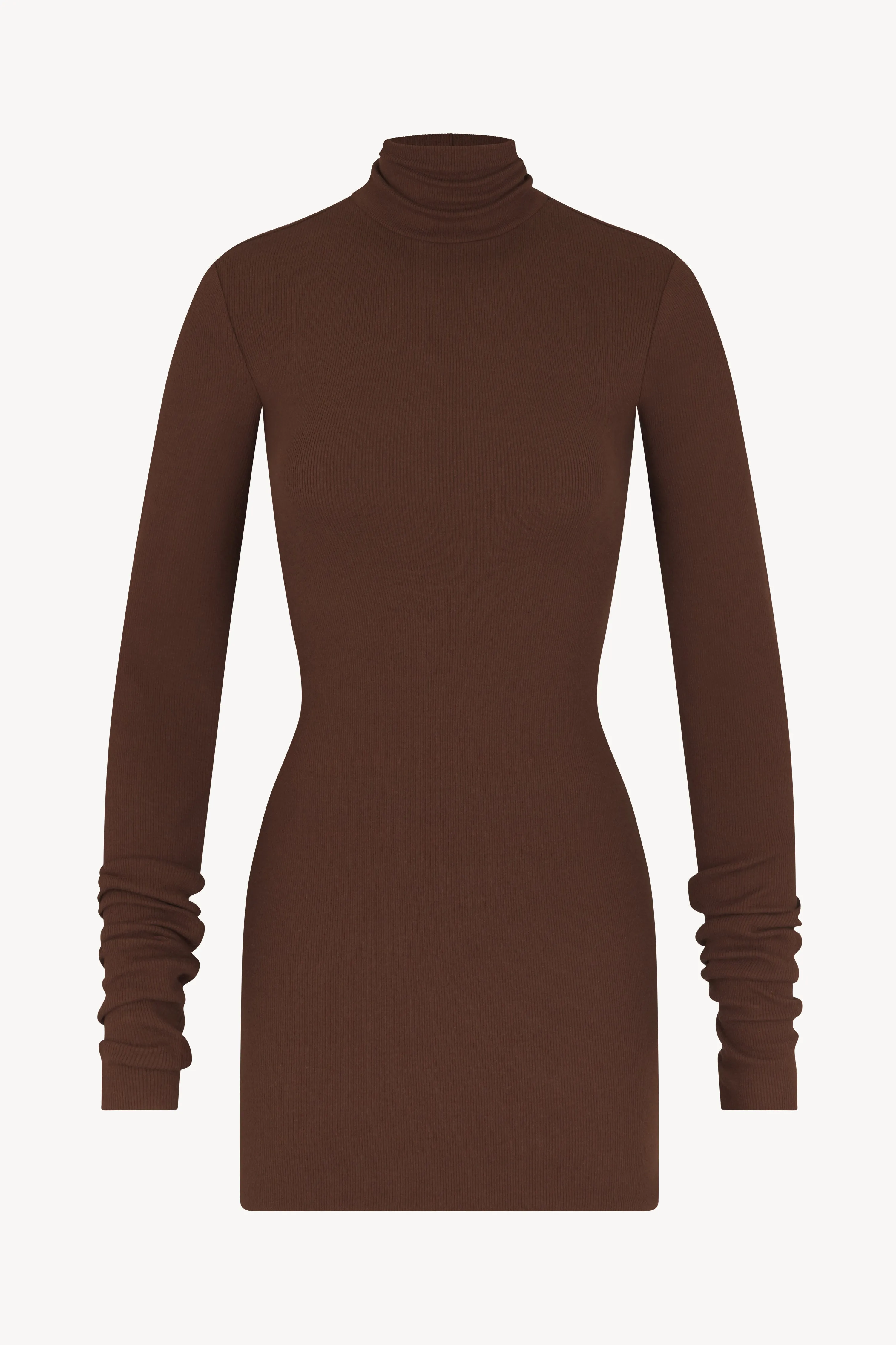 Long Sleeve Turtleneck Mini Dress