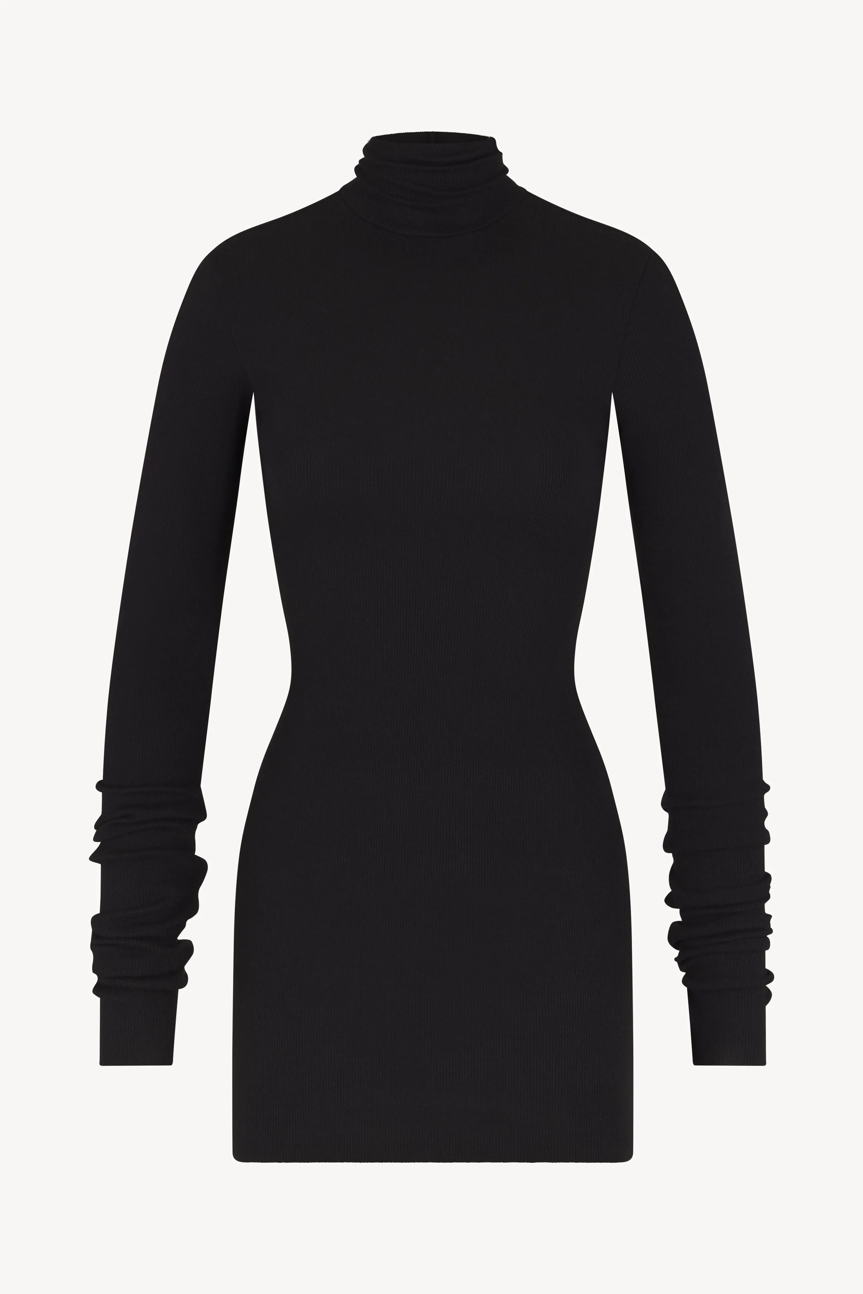 Long Sleeve Turtleneck Mini Dress