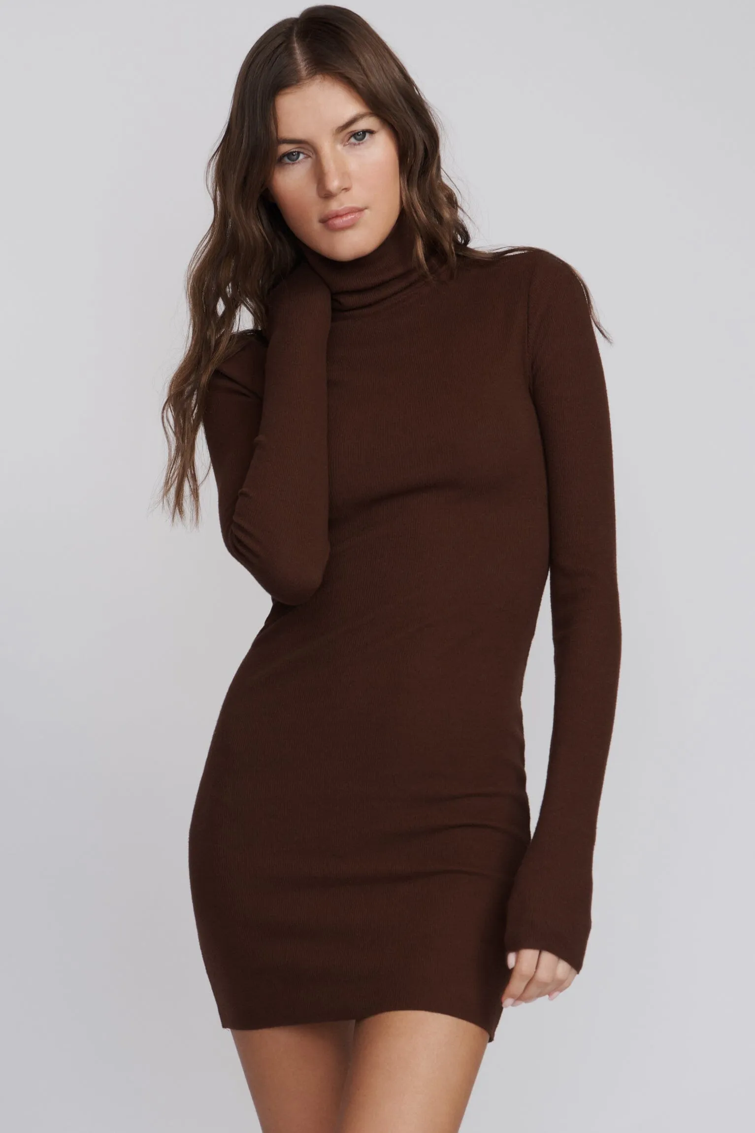 Long Sleeve Turtleneck Mini Dress