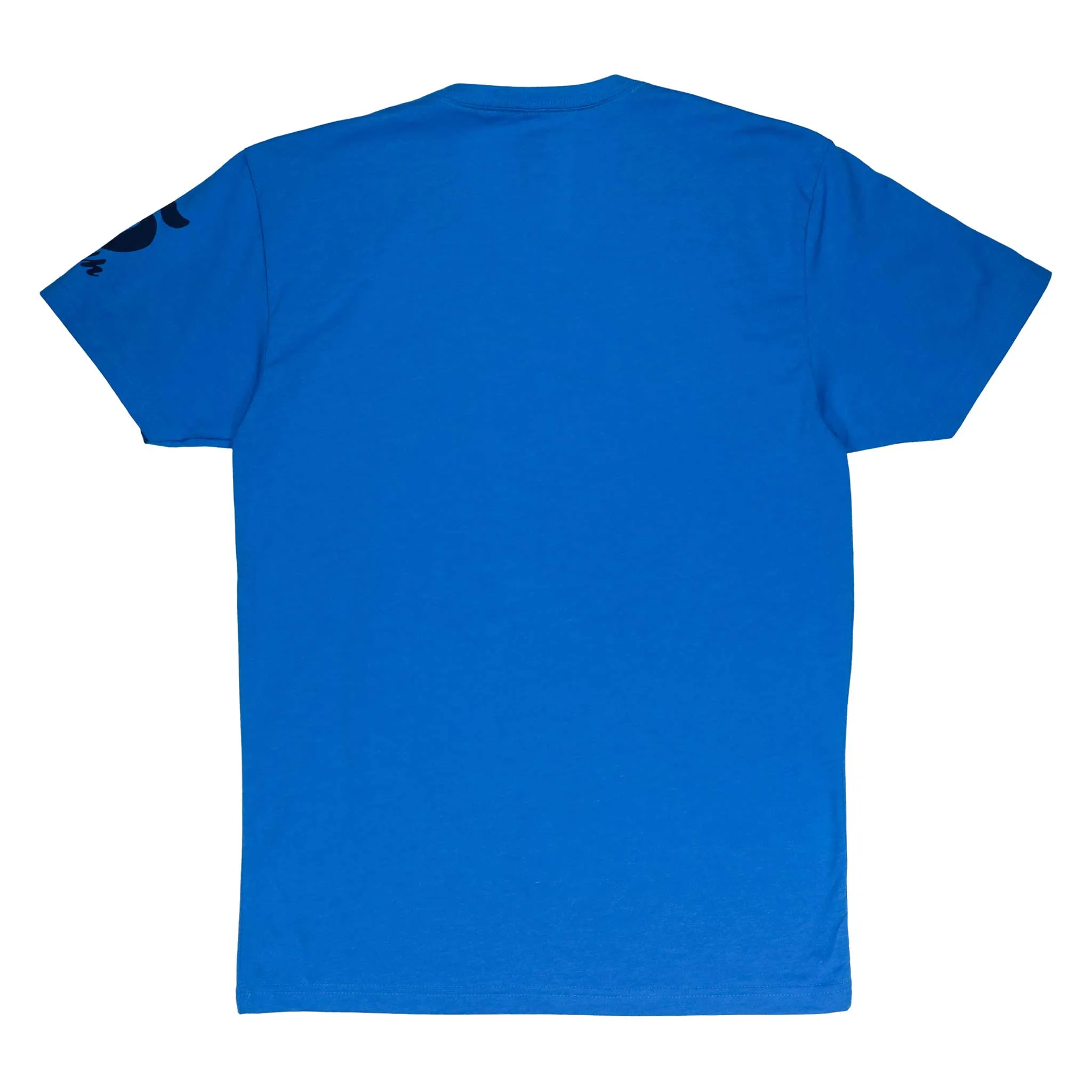 Men's Passo Dello Stelvio Teal V-Neck T-Shirt