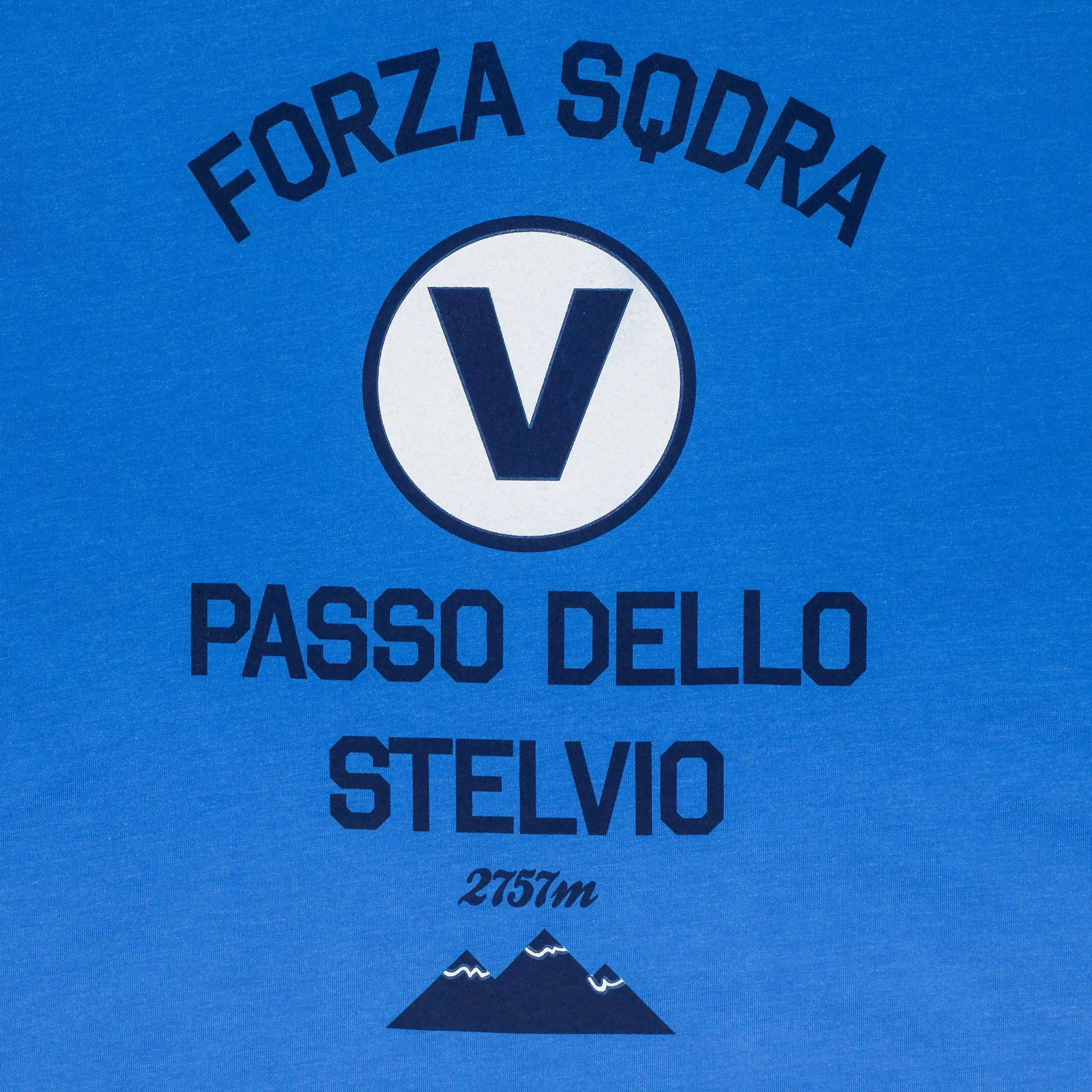 Men's Passo Dello Stelvio Teal V-Neck T-Shirt