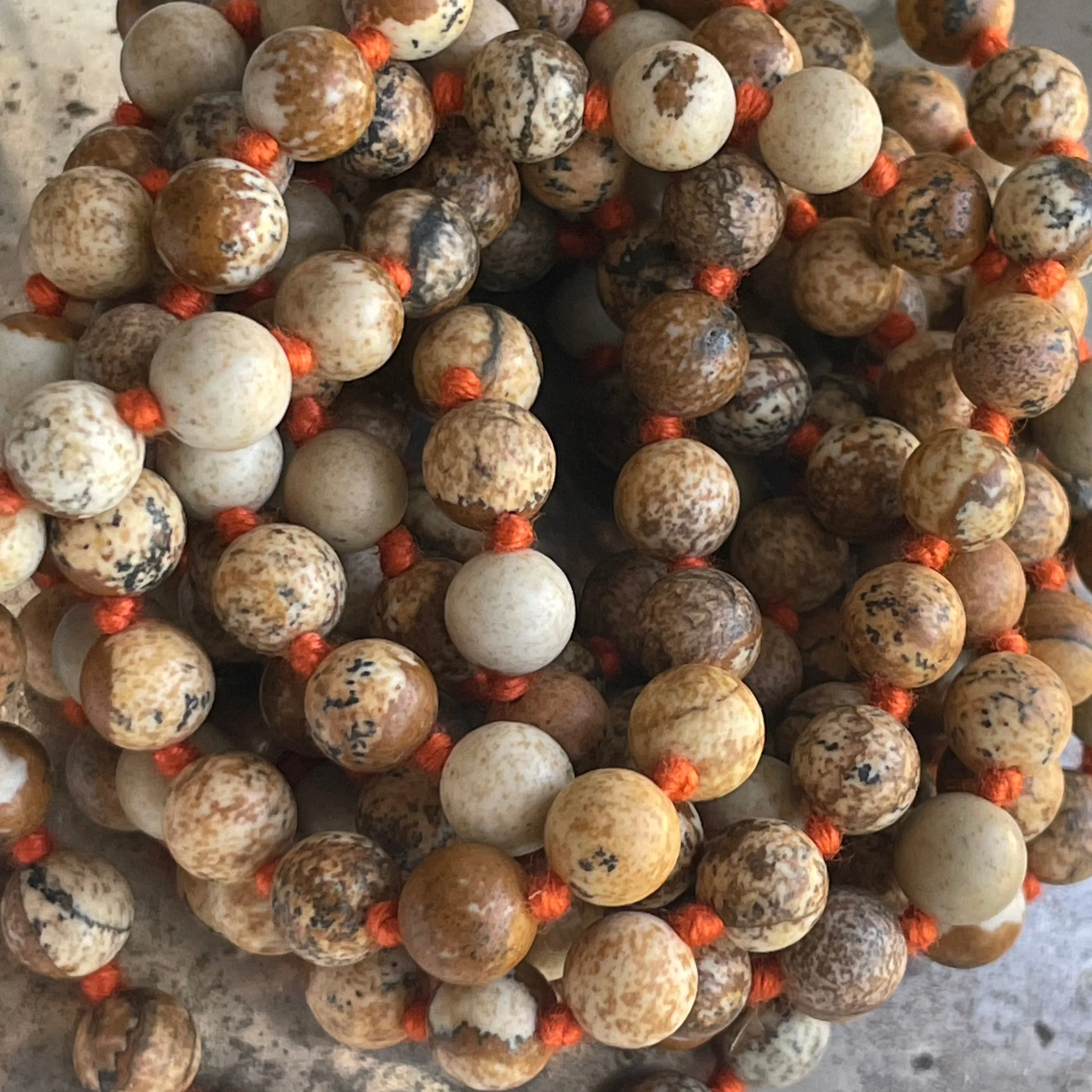 Picture Jasper Long
