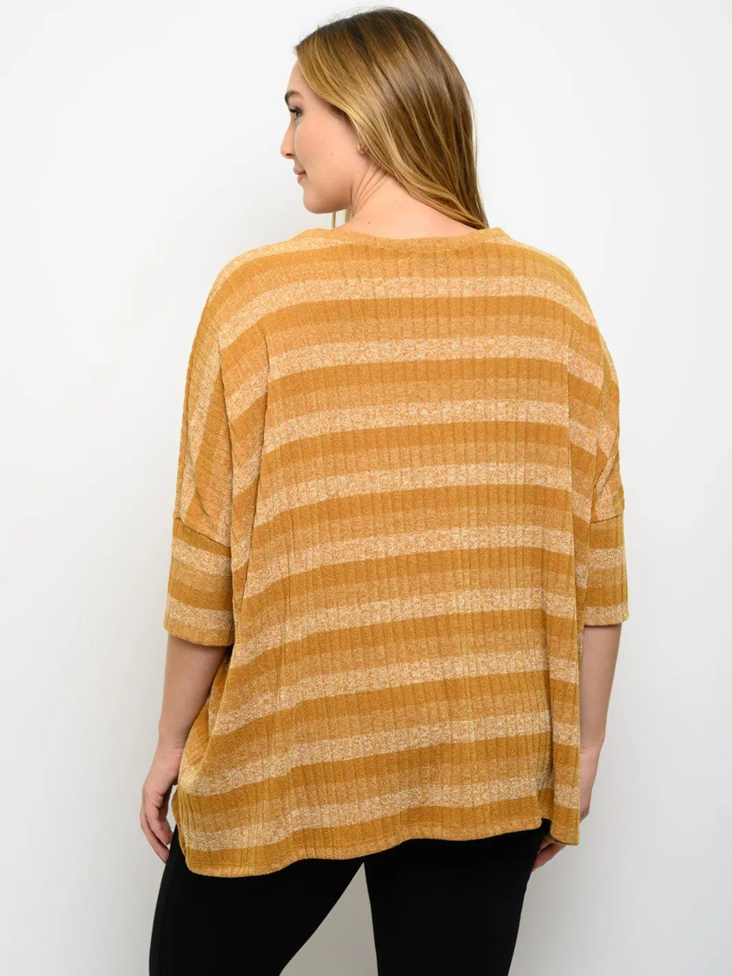 PLUS SIZE STRIPES SHORT SLEEVE TUNIC TOP