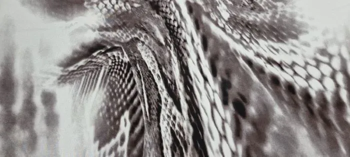 Printed Chiffon Mystic Waves