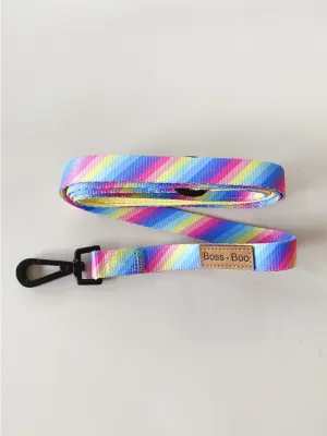 "Rainbow" Leash
