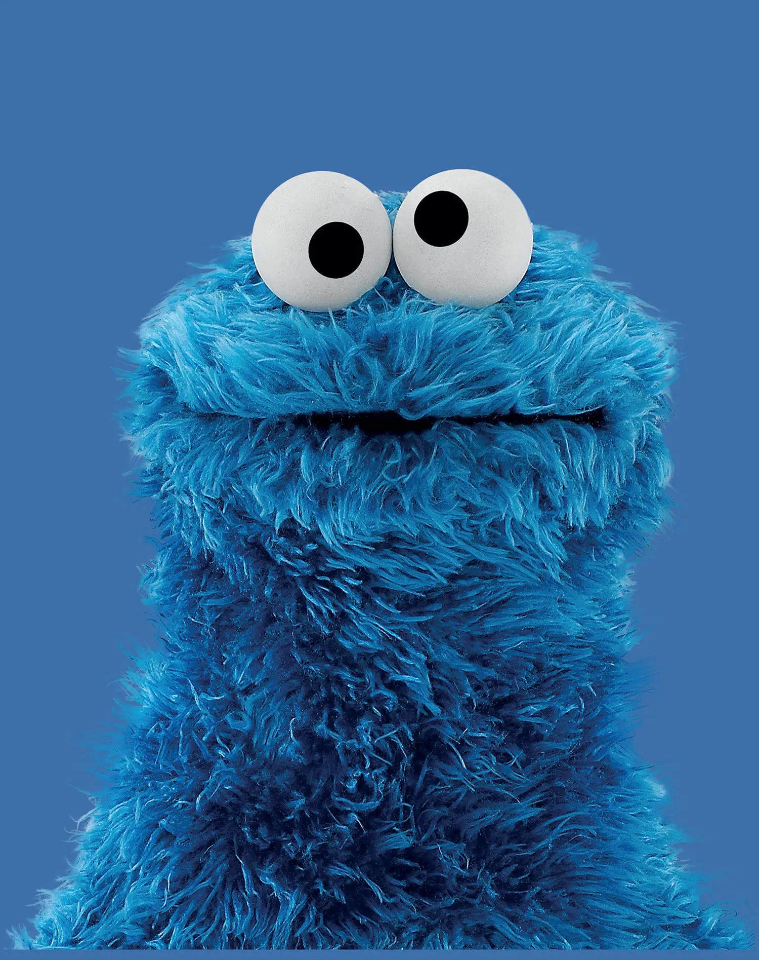 Sesame Street Cookie Monster Photo Head Official Women's T-Shirt (Royal Blue)