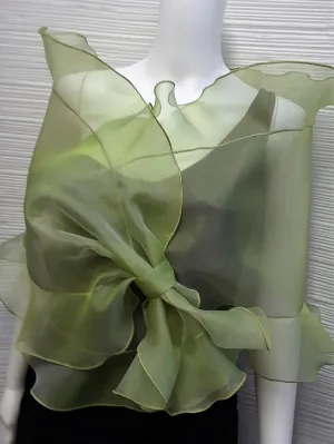 Sheer Organza Evening Wrap