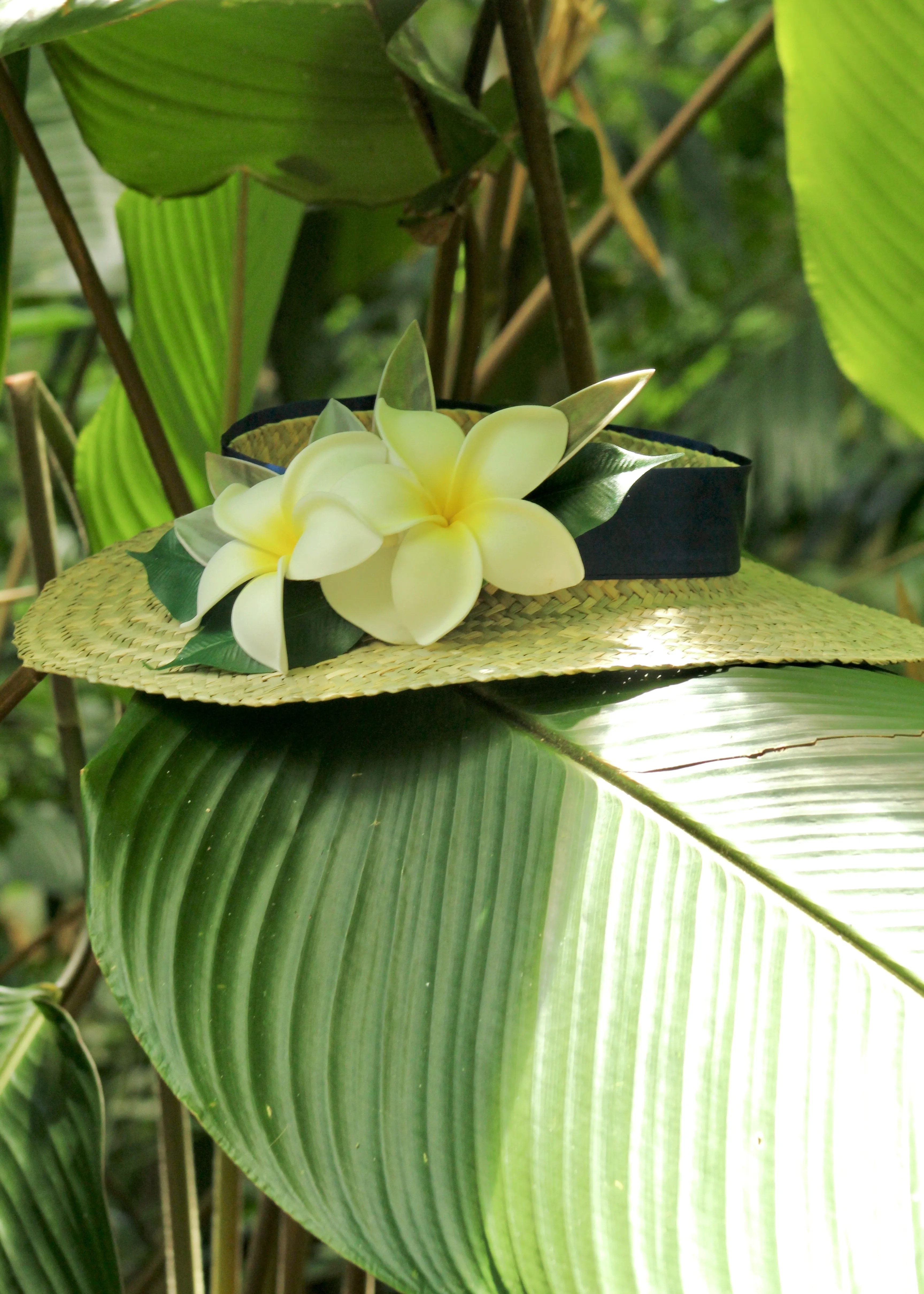 Silk Hat Wrap