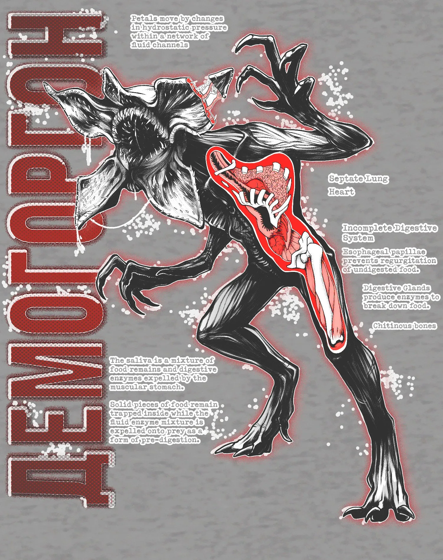 Stranger Things Demogorgon Profile Anatomy Women's T-Shirt