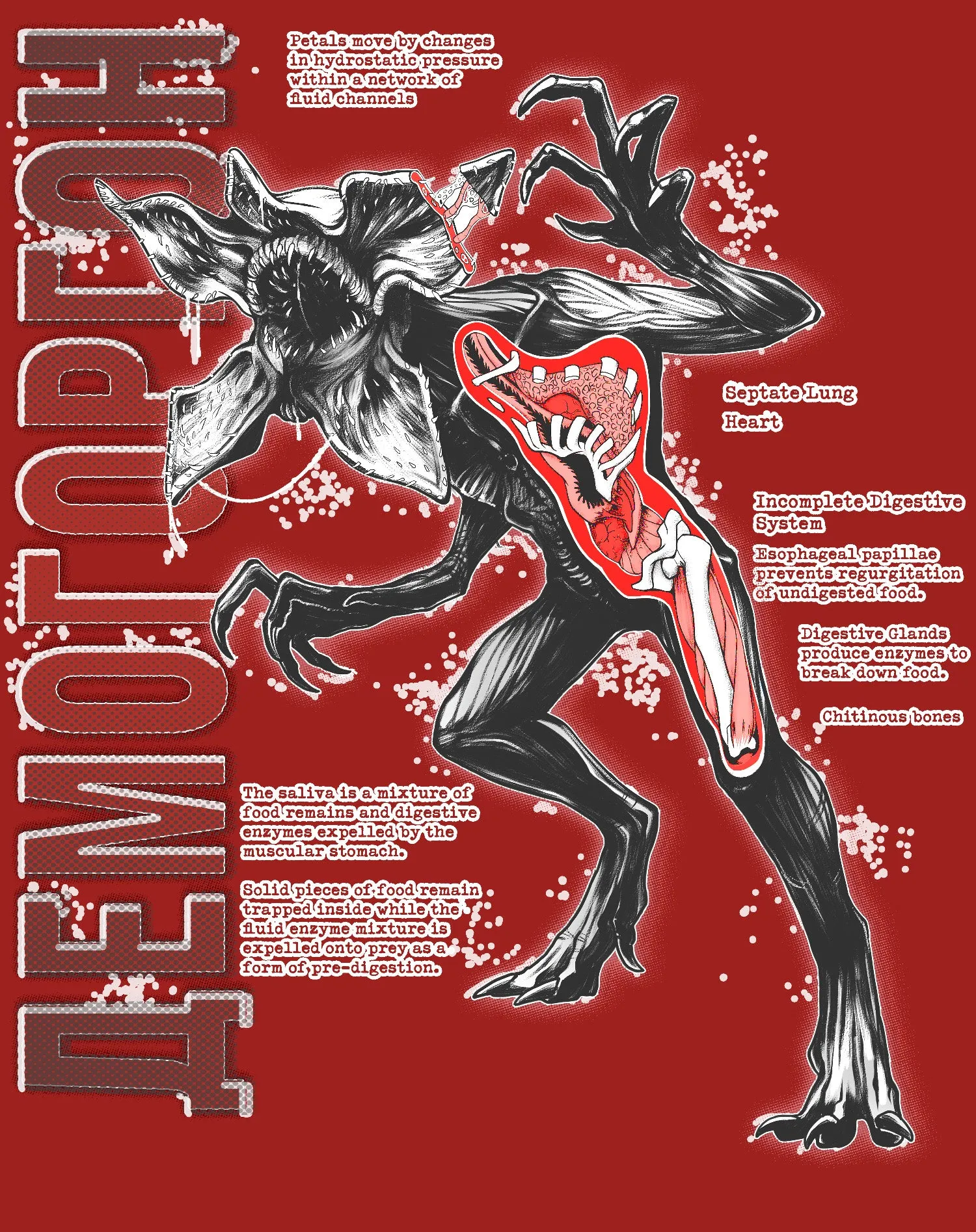 Stranger Things Demogorgon Profile Anatomy Women's T-Shirt