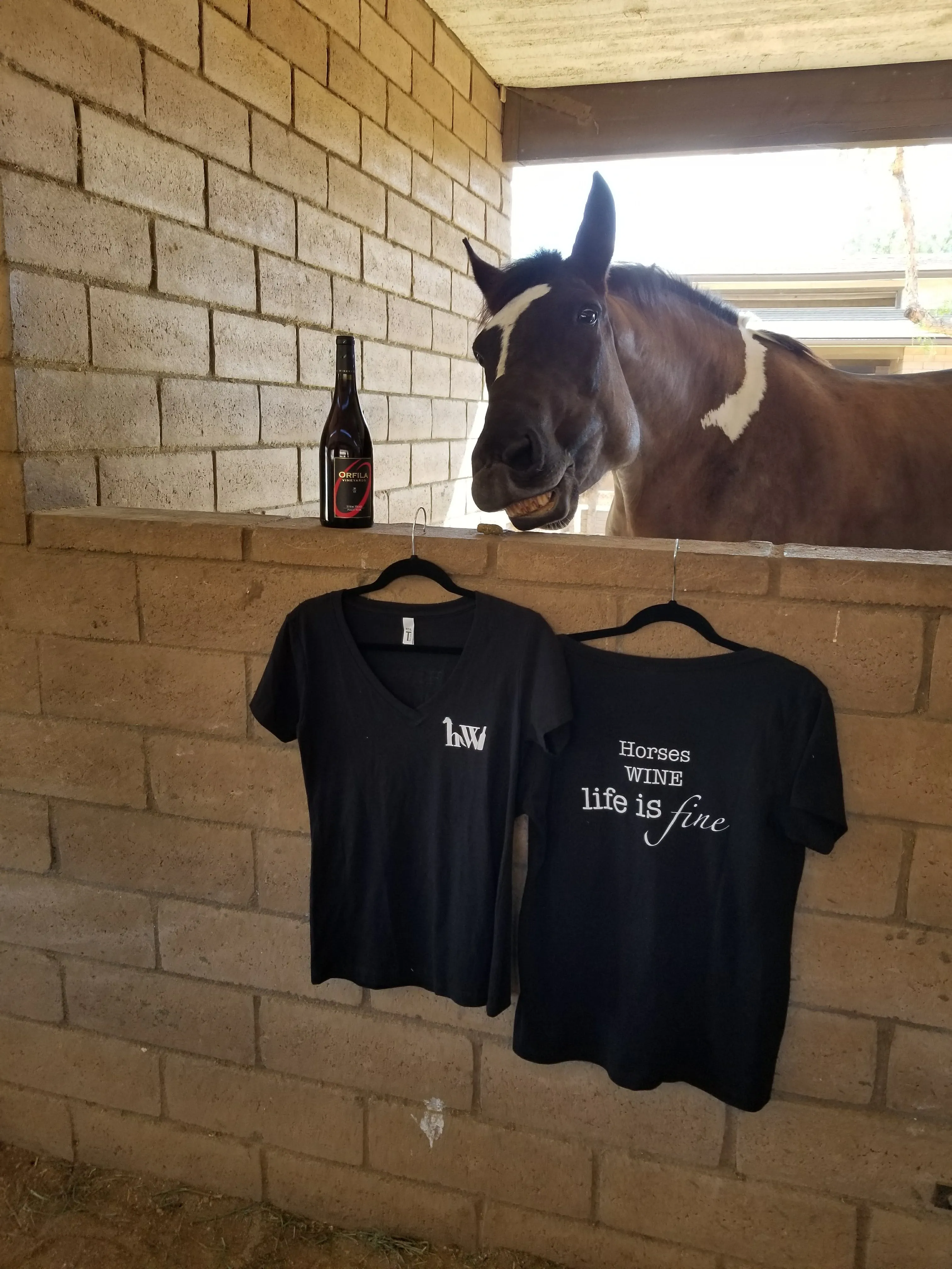 V Neck T-Shirt - Horses Wine Life is Fine!