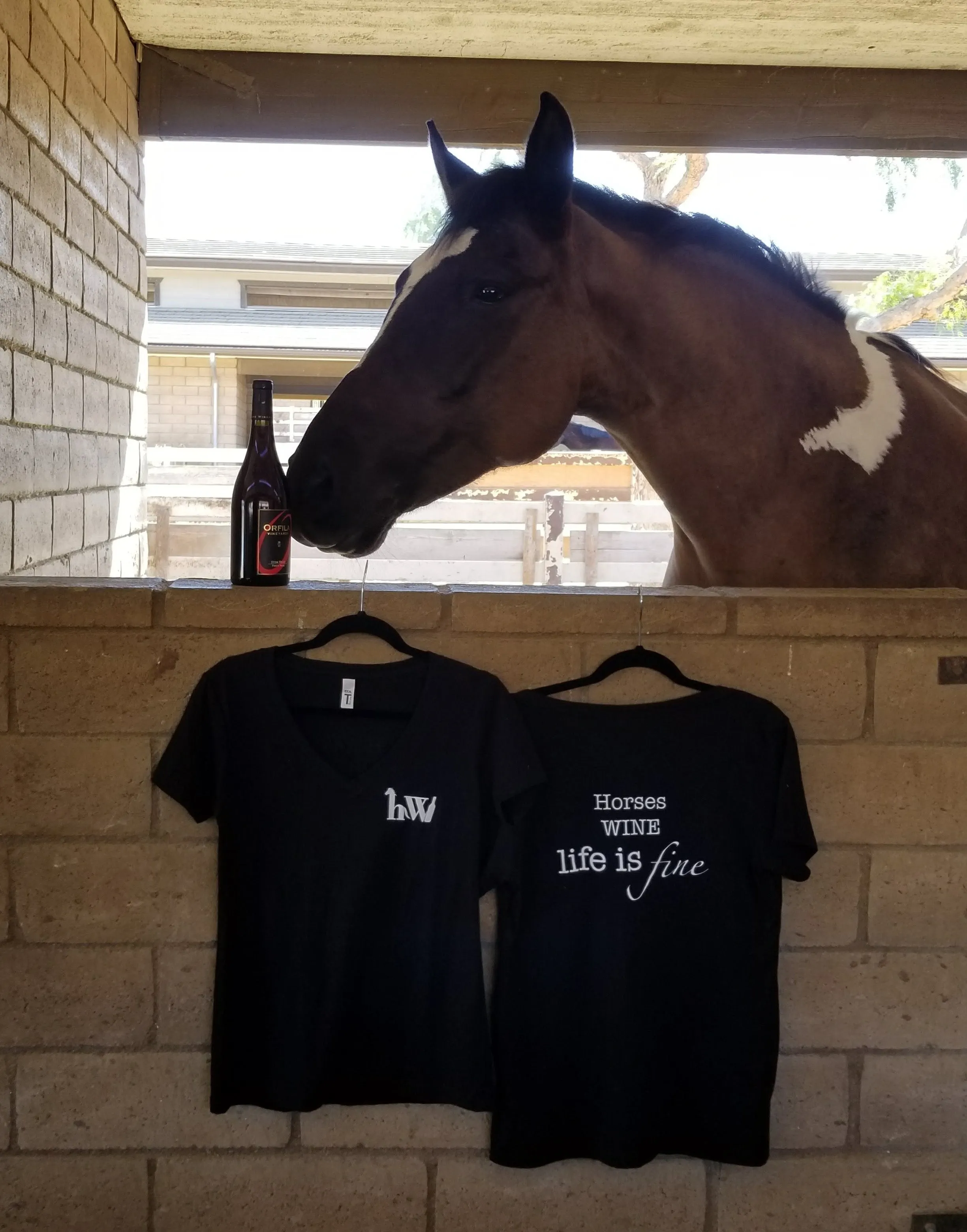 V Neck T-Shirt - Horses Wine Life is Fine!