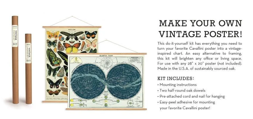 Vintage Cameras Wrap
