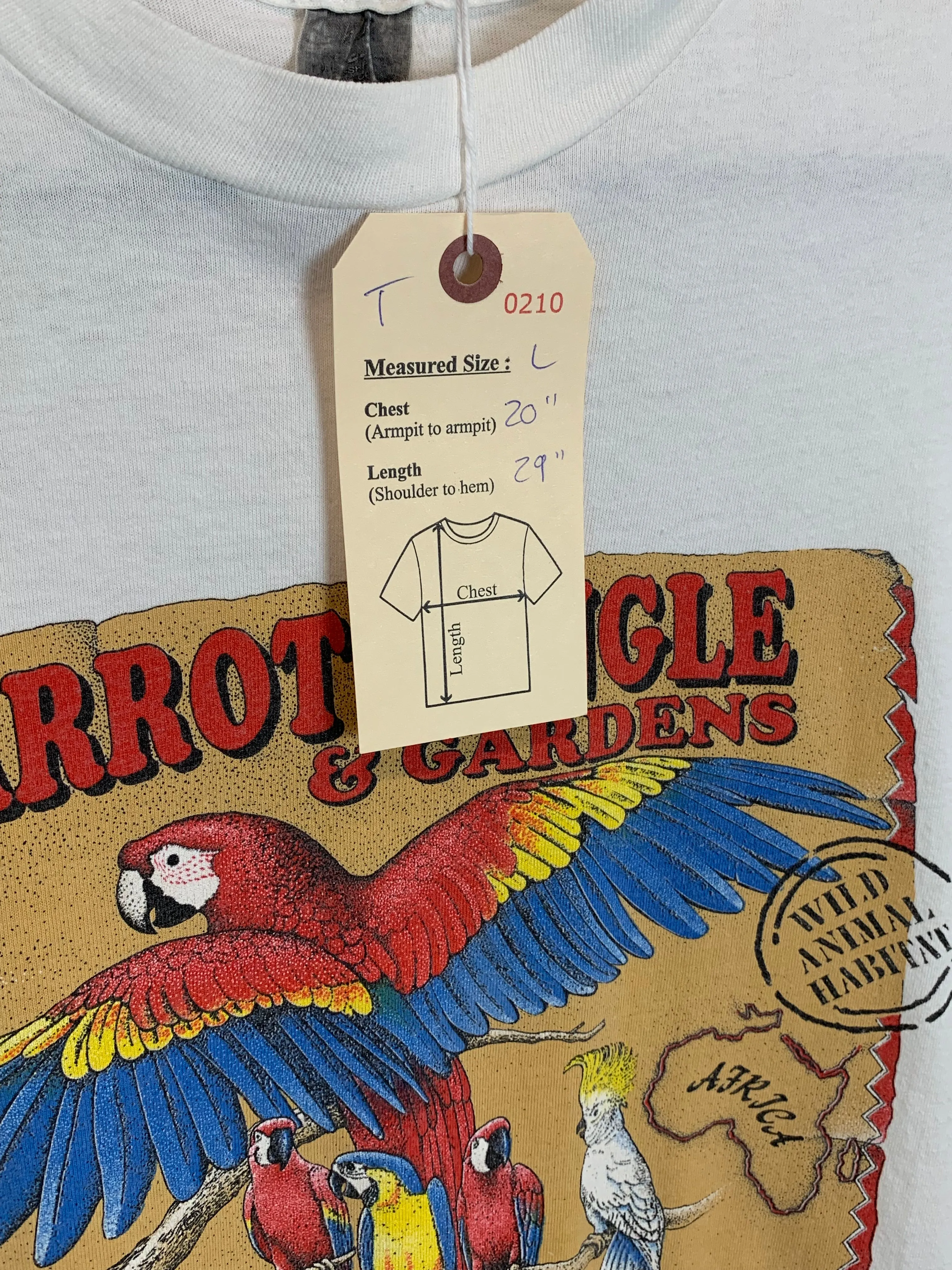 VTG Parrot Jungle Graphic Tee (L)