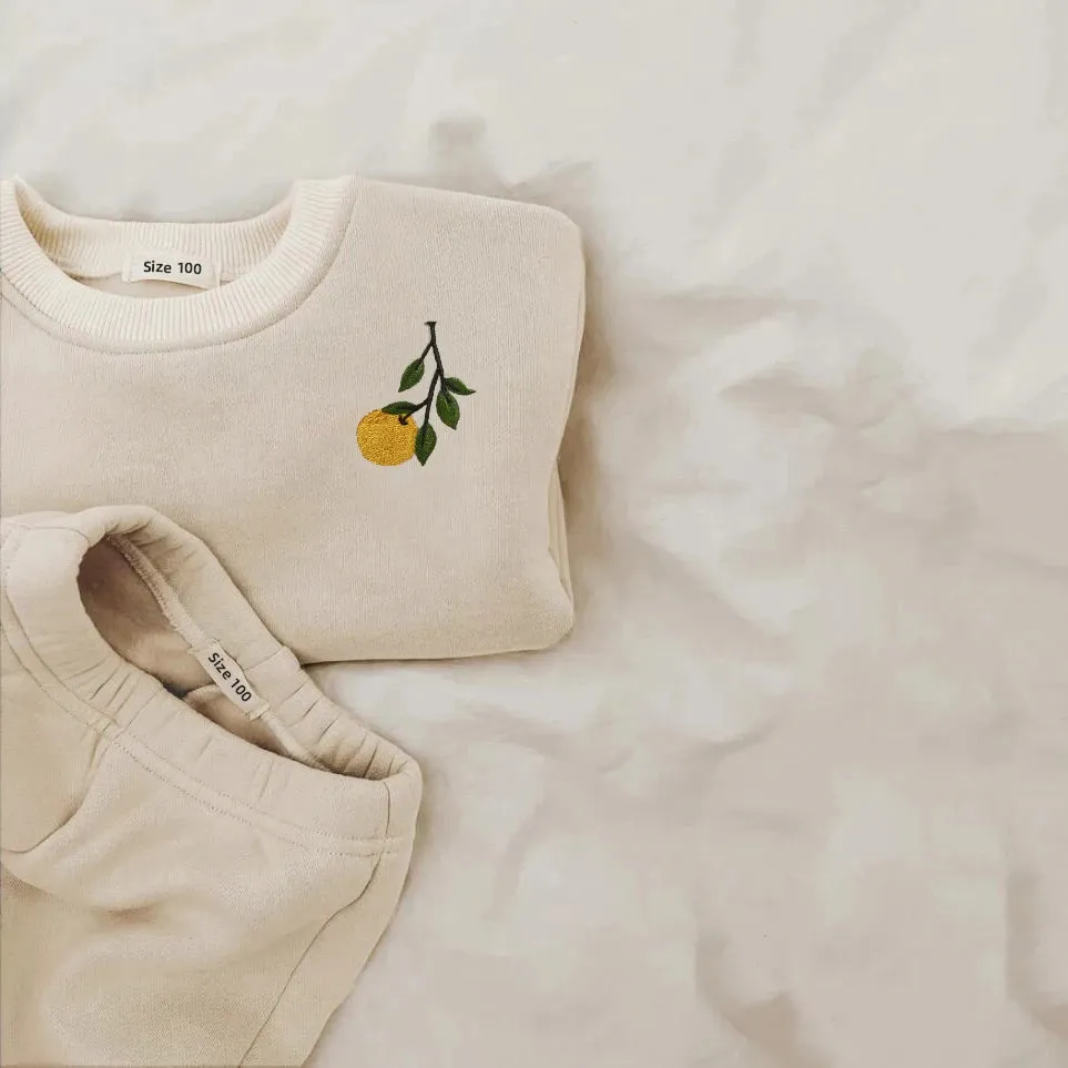 Winter Toddler Baby Boy Girl Clothing Sets 0-5Y Thick Kids Sweatshirt Clothes Baby Girl Fleece Pullover Tops  Pant Suits Autumn