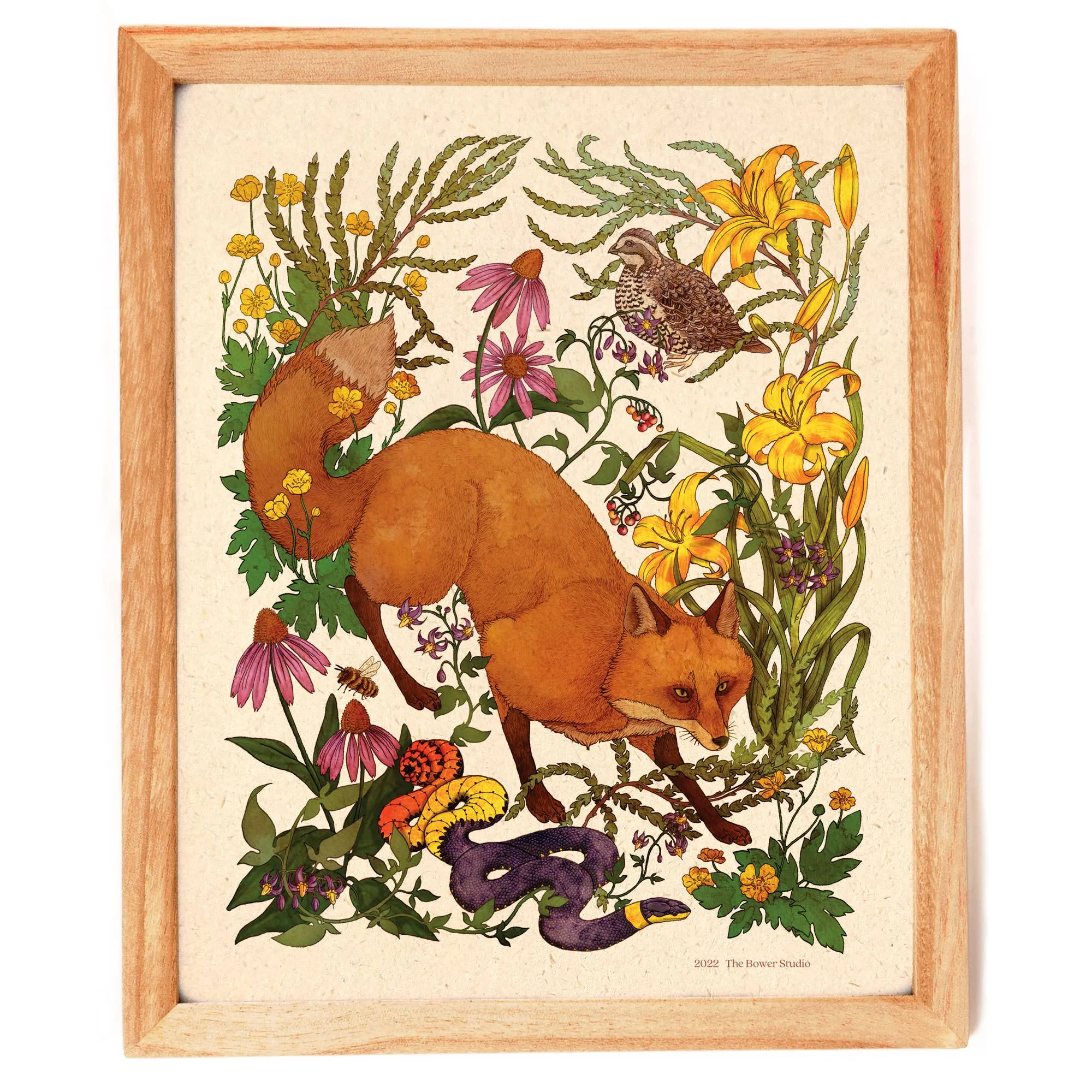 Woodland Meadow Red Fox (8" x 10" Print)